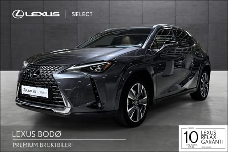 Lexus UX 300e