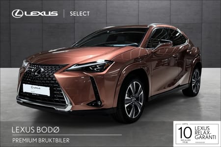 Lexus UX 300e