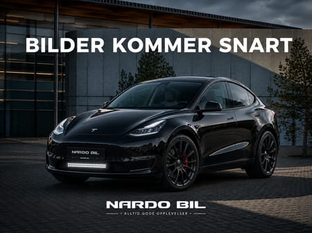 Tesla Model Y Performance