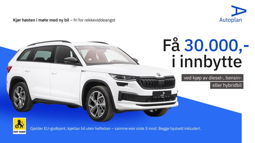 Bilde 2 av Opel Combo Cargo